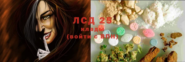 ГАЛЛЮЦИНОГЕННЫЕ ГРИБЫ Алексин