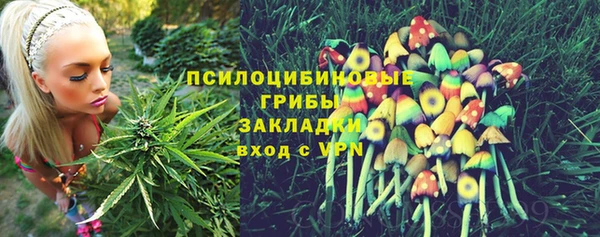 индика Алзамай