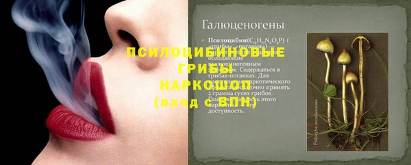ГАЛЛЮЦИНОГЕННЫЕ ГРИБЫ Алексин