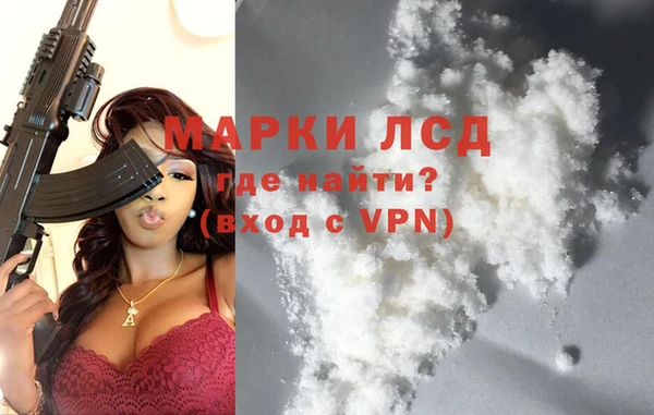 индика Алзамай